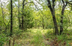 418-b County Road 405, Buckholts, TX 76518