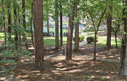 67 Lakeview Drive, 10H, Alexander City, AL 35010