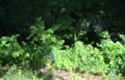 2.75ac Beauchamp Rd, Burkesville, KY 42717