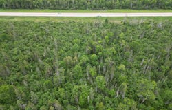 TBD US  2, Rapid River, MI 49878