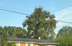 2950 Arlington Drive, Saginaw, MI 48601