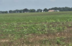 000 Lewis Road, Lexington, OK 73051