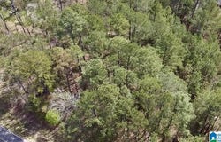 11490 HIGHWAY 55 lot: 1Ab, WESTOVER, AL 35147