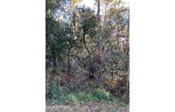 257 Wards Lane, Havelock, NC 28532