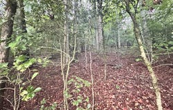0 Chastain, Sautee Nacoochee, GA 30571