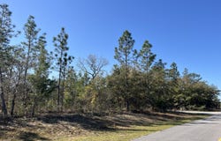 Lot 17 Shelby Court, Chipley, FL 32428