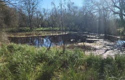 8530 FM 153, La Grange, TX 78945