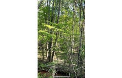 396 Ashley Lane, Athens, GA 30607