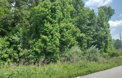 00 Lot1 Meagen Lane, Manning, SC 29102