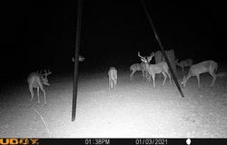 Hwy 349, Sheffield, TX 79848