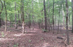 Y.C. Nichols Rd, Lowndesboro, AL 36752