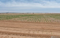 Lot 14 144TH Ave, Bennett, CO 80102