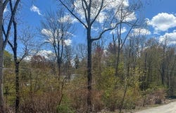 9 Luther Ave, Worcester, MA 01605