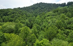 912-369 Upper Raccoon Creek Rd, London, KY 40741