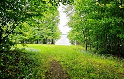 Needle Pointe Rd, Germfask, MI 49836