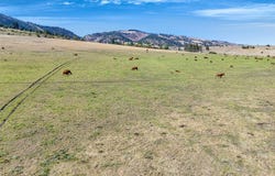 Willow Highlands, Florence, MT 59833