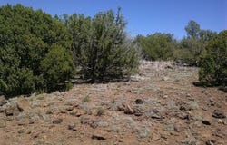 Tbd CR 8026, Concho, AZ 85924