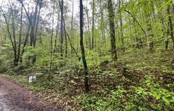 Lot 113 Bear Den Trl, Grandview, TN 37337