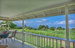 82-1019 KOA RD, Captain Cook, HI 96704