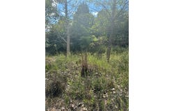 Tahitian Dr lot: 1338 And 1339, Bastrop, TX 78602