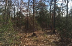 000 St Mary Lane, Rose Bud, AR 72137