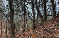 18282 W US-2, St. Ignace, MI 49781