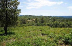 224 W Durango Ridge, Durango, CO 81301