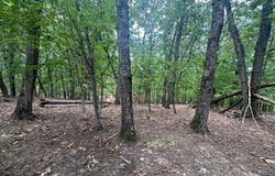 0 Planters Pointe Terrace, Baldwin, GA 30511