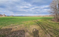 State Route 96A, Romulus, NY 14541