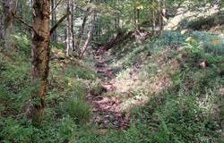 21 Doe Run Road, Galeton, PA 16922