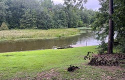 1385 Calhoun Drive, Abbeville, AL 36310