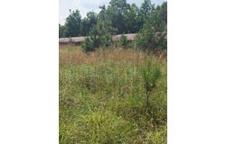 20671 Hwy 195, Double Springs, AL 35553