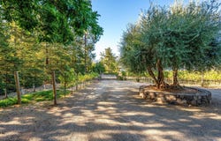 20 Rosedale Road, Calistoga, CA 94515