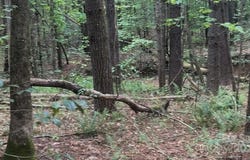 Conroy Court, Collettsville, NC 28611