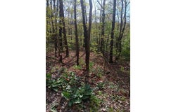 LOT 30 St. Ives  CIR, Bella Vista, AR 72714