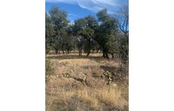 234 Ridgeline Drive, Chico, TX 76431