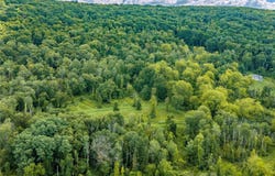 Route 22, Pawling, NY 12564