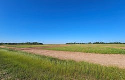 0 County Road 17, Headland, AL 36345