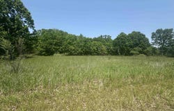 1029 Bonanza Lane, Weidman, MI 48893