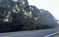 Lot 3a Elberton Highway, Lincolnton, GA 30817