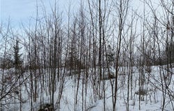 ON Forest Drive E, Ogema, WI 54459