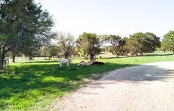 690 County Road 4707, Kempner, TX 76539