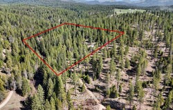 5324 OLINGER RD, SPRINGDALE, WA 99173