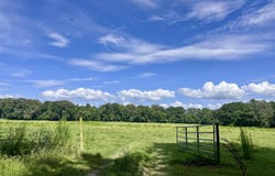 Lexington Road, Pickens, MS 39146