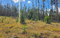 Highland Lane, Anaconda, MT 59711