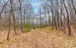 Off JOHNSON LN, Winchester, WI 54557