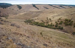 Lewis Rd, Enterprise, OR 97828