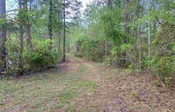 1355 Flat Creek Rd unit: 0, Chattahoochee, FL 32330