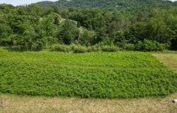 Lot 31 River Rock RD, Vinton, VA 24179