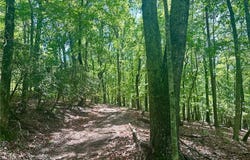 7-/+ Charlie Lemley Road, Dawsonville, GA 30534